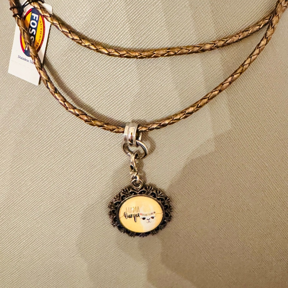 Fossil Braided Stainless Steel Silver Charm Necklace Set with Charms - Picture 14 of 16
